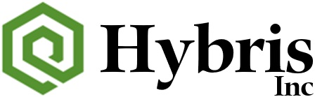 logo Hybris-inc